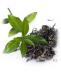 Which Are The Best Chinese Slimming Teas